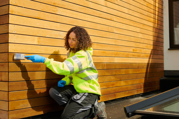 Best Vinyl Siding Installation  in Scott City, MO